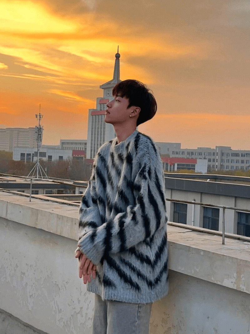 [XXXHOT] Zebra Pattern Mohair Sweater ST1540